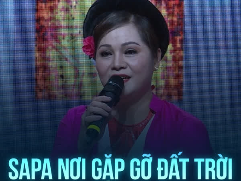 Sapa Nơi Gặp Gỡ Đất Trời (Lofi) (Single)