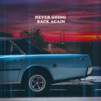 Never Going Back Again (Single)
