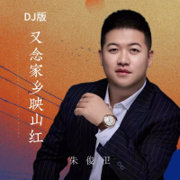 又念家乡映山红 (DJ版) (Single)