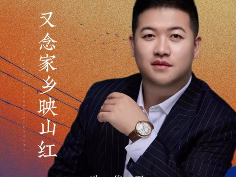 又念家乡映山红 (DJ版) (Single)