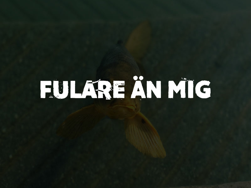 Fulare än mig (Single)