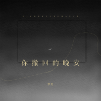 你撤回的晚安 (EP)