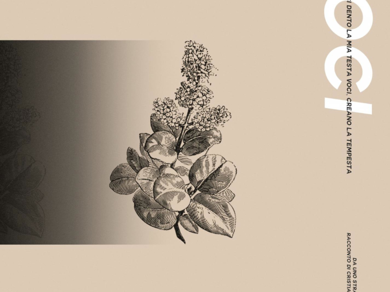 Voci (feat. MaNu) (Single)