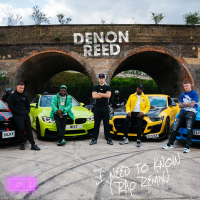 I need to know (Silky, MIST, Dizzee Rascal, KAV Remix) (Single)