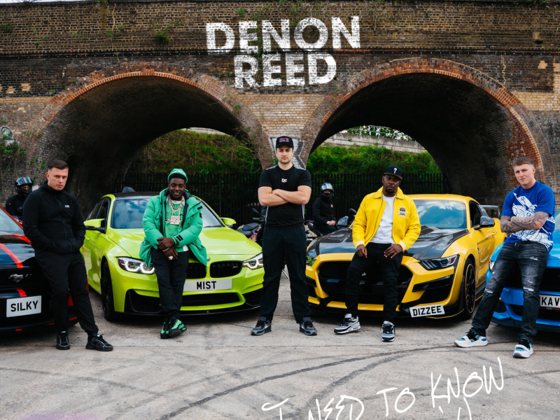 I need to know (Silky, MIST, Dizzee Rascal, KAV Remix) (Single)