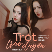 Trót Trao Duyên (Remix) (Single)