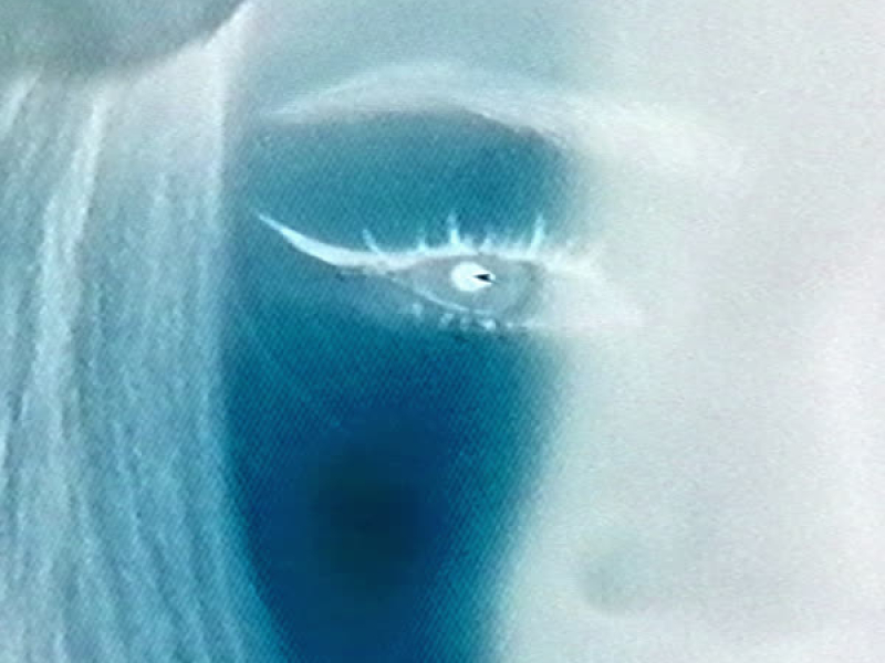 Shy (glitch edit) (Single)