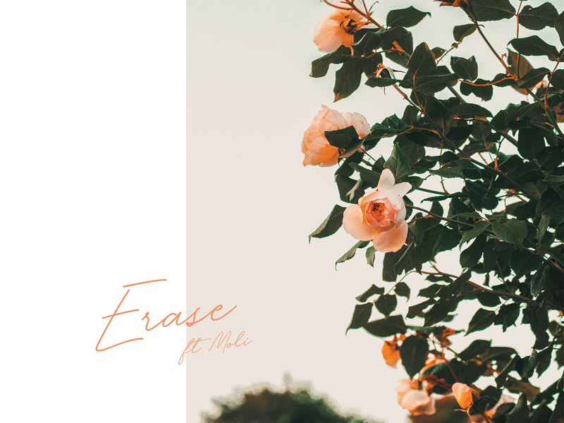 Erase (Single)