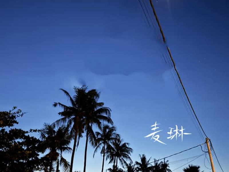 等待黎明等待深爱的你 (Single)