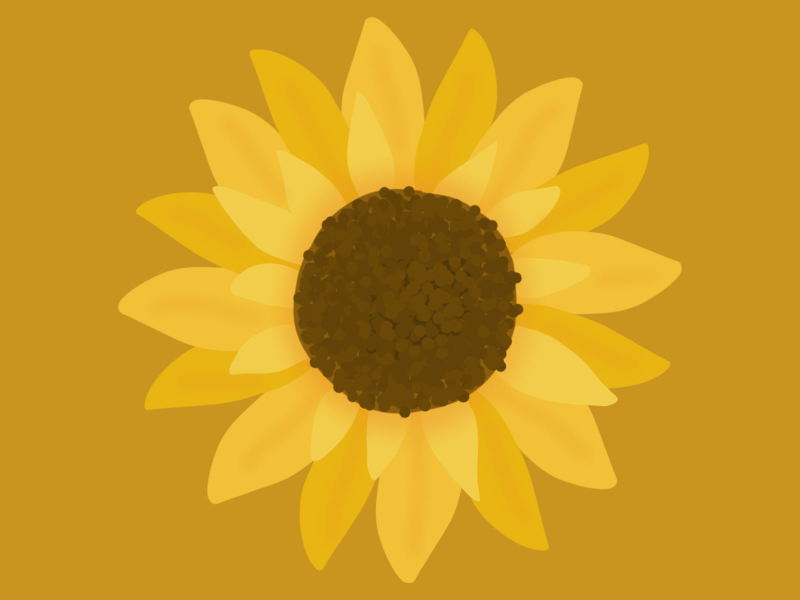 Little Sunflower (Single)