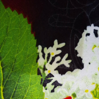 Aku menunggumu (Single)