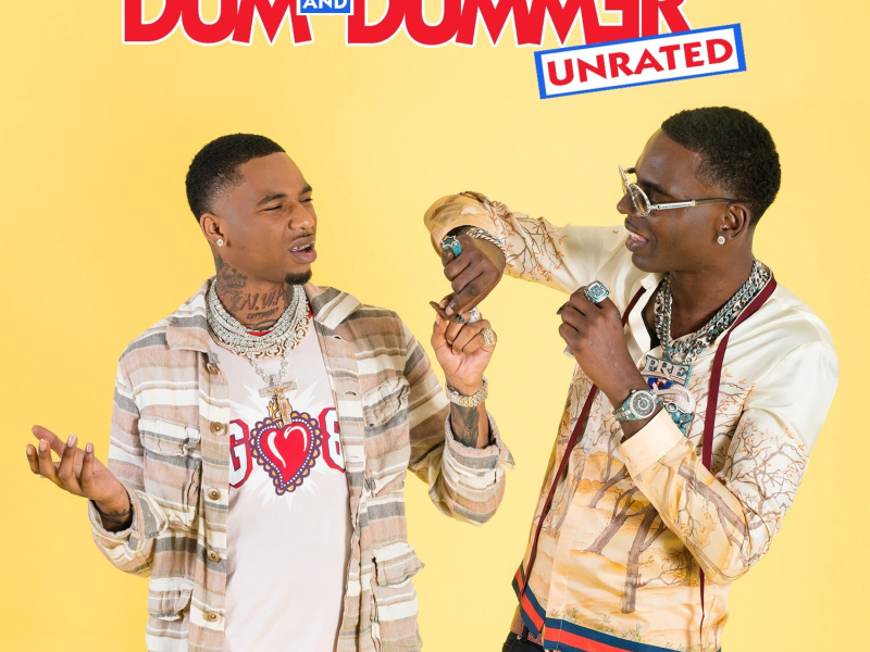 Dum and Dummer