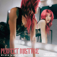 Perfect Mistake (EP)