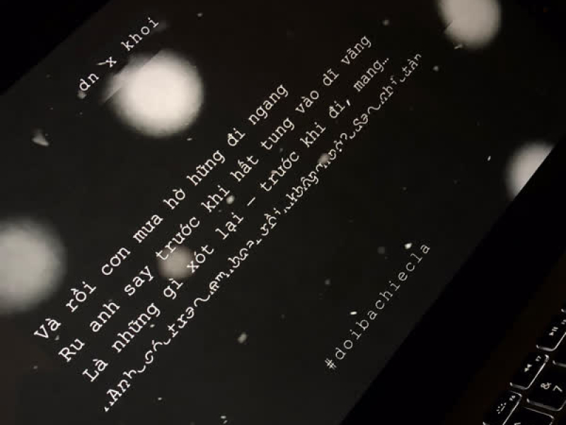 Đôi Ba Chiếc Lá (Single)