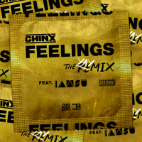 Feelings Remix (Single)