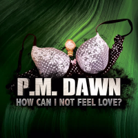 How Can I Not Feel Love? (Single)