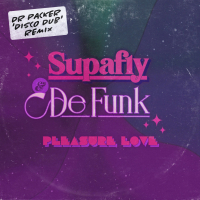 Pleasure Love (Dr Packer 'Disco Dub' Remix) (Single)