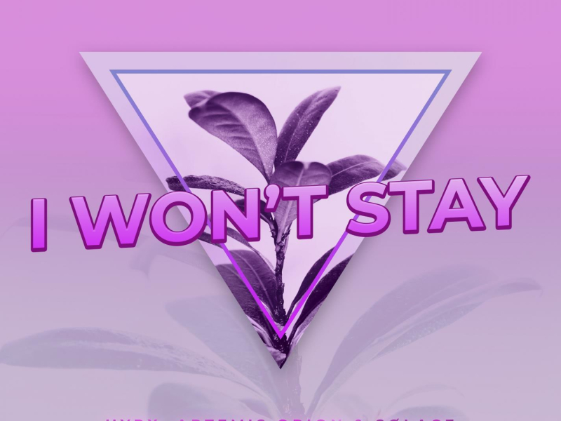 I Won't Stay (Single)