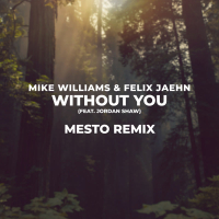 Without You (Mesto Remix) (Single)