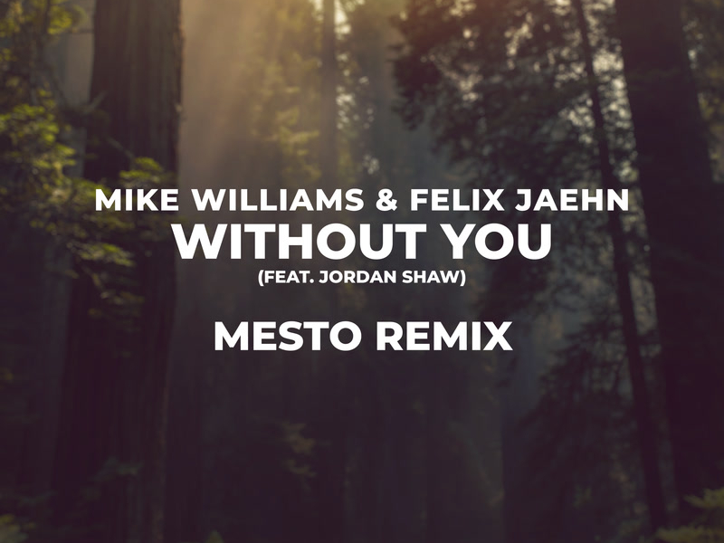 Without You (Mesto Remix) (Single)