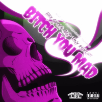 Bitch You Mad (Single)