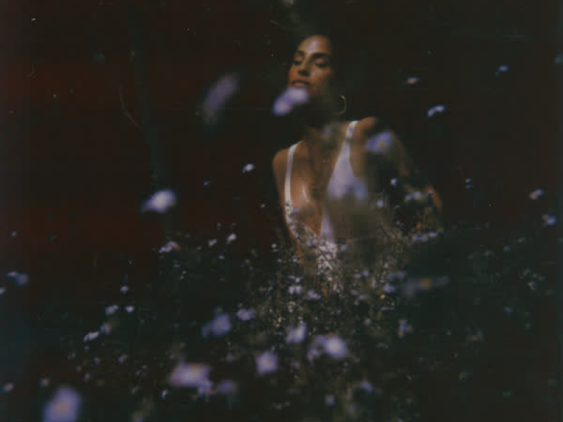 Find Someone Like You (Single)