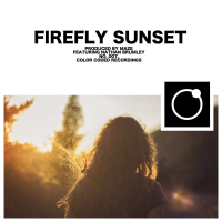 Firefly Sunset (feat. Nathan Brumley) (Single)