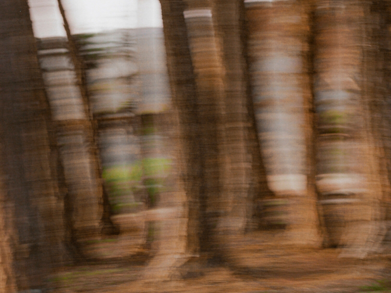 A More Translucent Haze (EP)