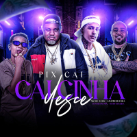 Pix Cai Calcinha Desce (Single)
