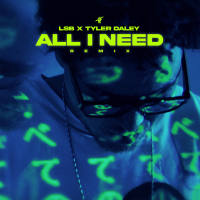 All I Need (LSB Remix) (EP)