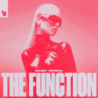 The Function (Single)