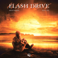 Flash Drive (Single)