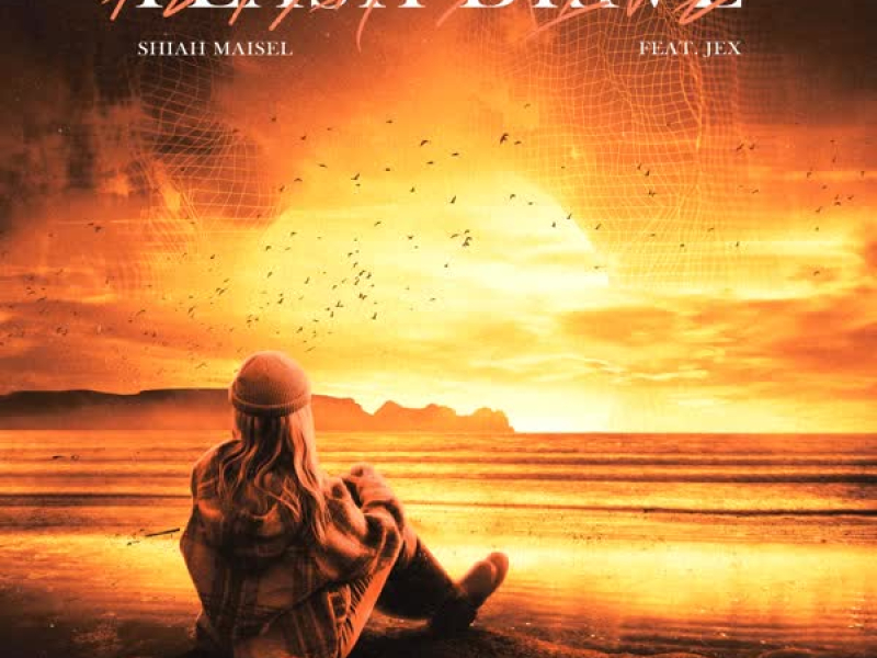 Flash Drive (Single)