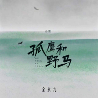孤鹰与野马 (Single)