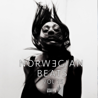 Norwegian Beats, Vol. 15