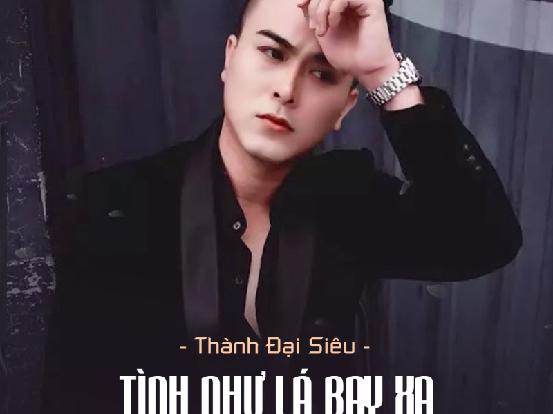 Tình Như Lá Bay Xa (DJ Phơ Nguyễn Mix) (Single)