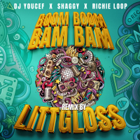 Boom Boom Bam Bam (LittGloss Remix) (Single)