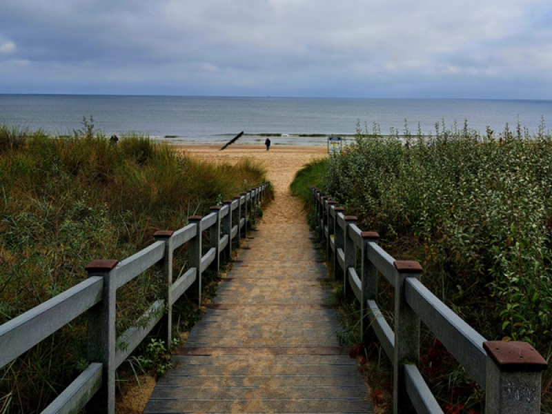 snoopy come home pt. 2 (Single)