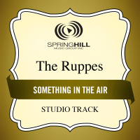 Something In The Air (Single)