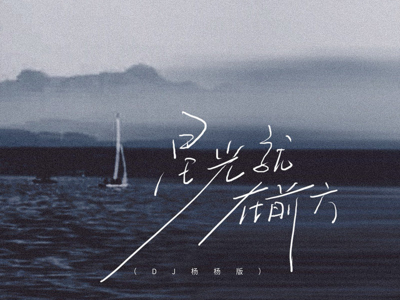 星光就在前方 (DJ杨杨版) (Single)