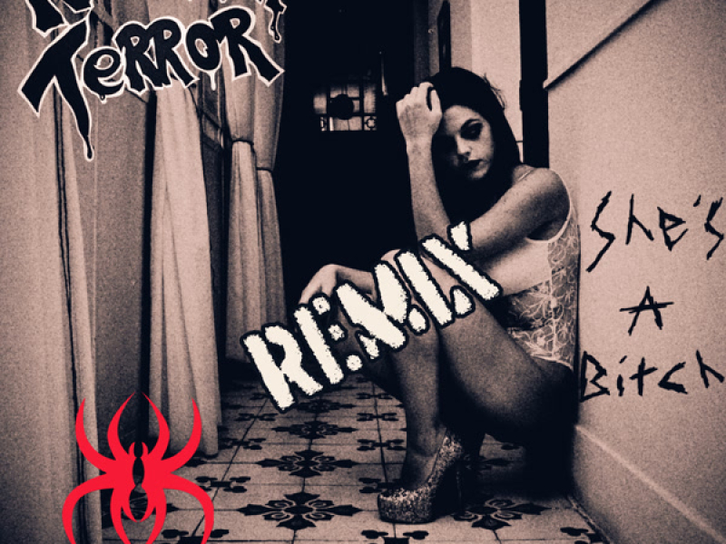 She's A Bitch (Single)