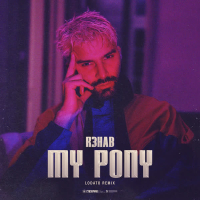 My Pony (LODATO Remix) (Single)