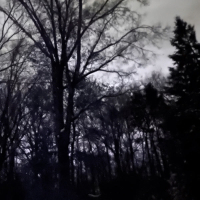 What You Need (Single)