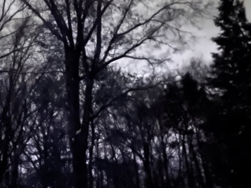 What You Need (Single)