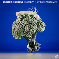 Back To The Groove (Justin Jay x Janis Zielinski remix) (EP)