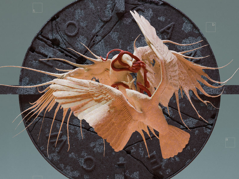 Wrong Again (Single)