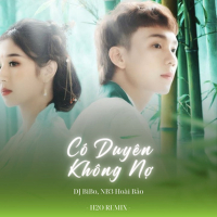 Có Duyên Không Nợ (DJ Bibo Remix) (Single)