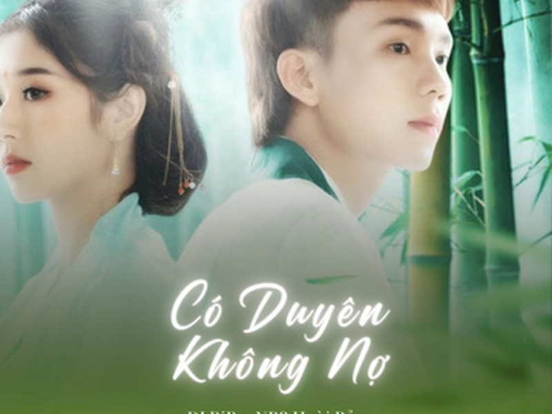 Có Duyên Không Nợ (DJ Bibo Remix) (Single)