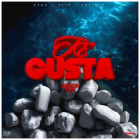 Te Gusta (Single)