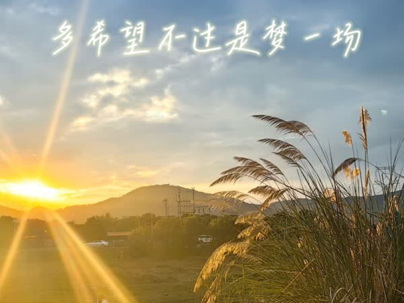 多希望不过是梦一场 (Single)